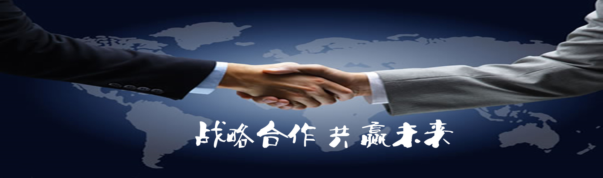 战略伙伴